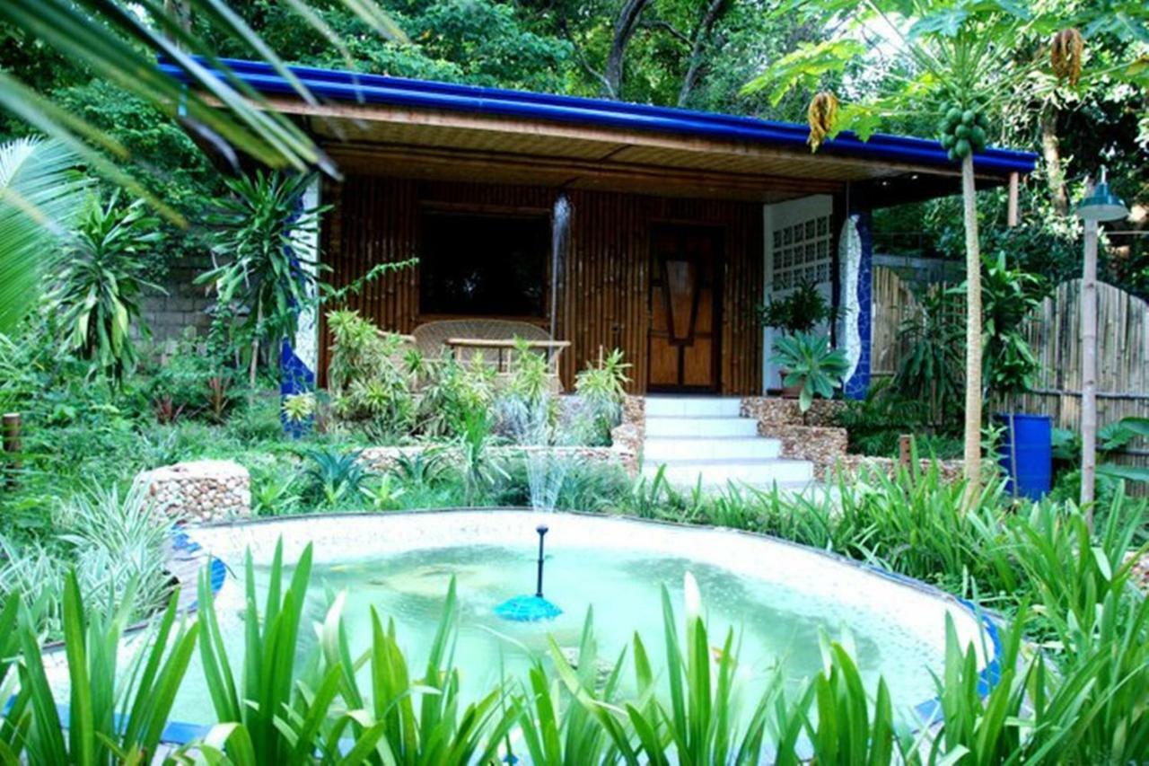 Princess Of Austrian 3* Coron